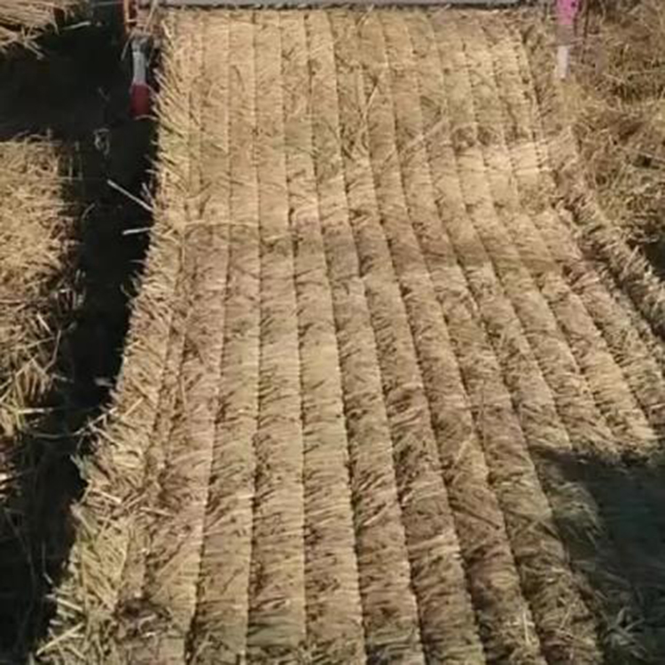 草莓视频黄片免费下载
