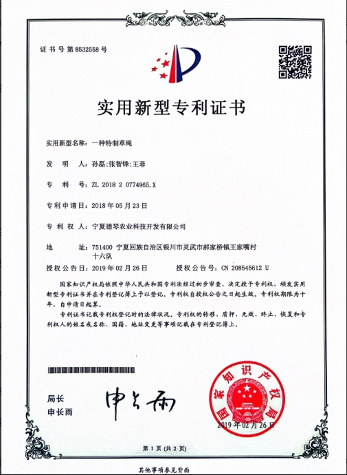 宁夏草莓视频在线观看污版子