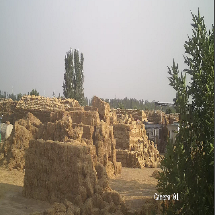 宁夏草莓视频黄片免费下载厂家